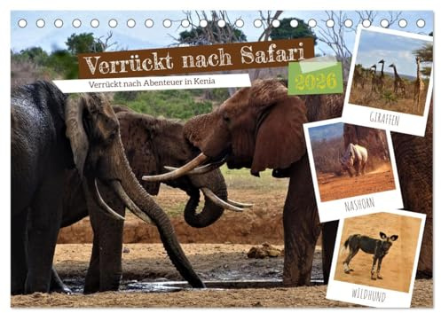 Verrückt nach Safari Verrückt nach Abenteuer in Kenia (Tischkalender 2026 DIN A5 quer), CALVENDO Monatskalender: Abenteuer erleben...Safari njema! (CALVENDO Orte)