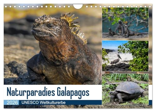 Naturparadies Galapagos - UNESCO Weltkulturerbe (Wandkalender 2026 DIN A4 quer), CALVENDO Monatskalender: Die Galapagos Inseln - ein letztes ... heute UNESCO Weltkulturerbe. (CALVENDO Natur)