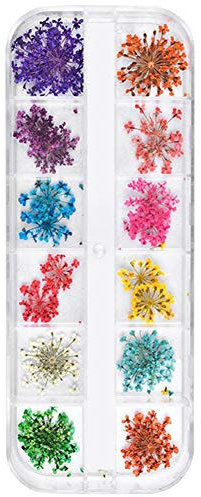 Real Sunflower Nail Dry Flower Decor, Colorful Nail Art Decor Sticker with Acrylic, Builder Gel, Nail Polish, for DIY Manicure (Manicure Dried Flowers Model A Gypsophila)