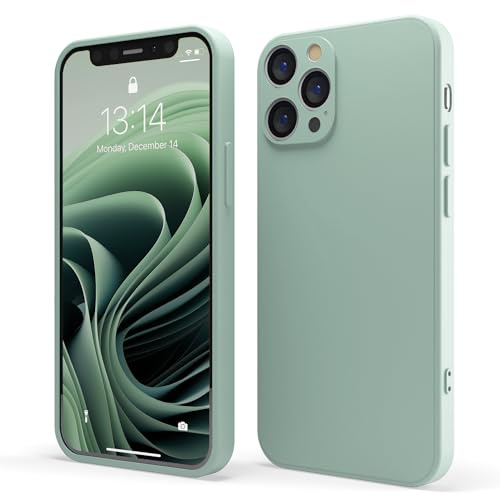 Red Ember Coque de protection antichoc pour iPhone, ultra fine en silicone liquide avec finition mate et doublure en microfibre douce anti-rayures (sauge, iPhone 12 Pro)