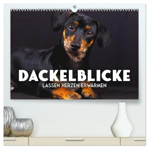 Dackelblicke - Lassen Herzen erwärmen. (hochwertiger Premium Wandkalender 2026 DIN A2 quer), Kunstdruck in Hochglanz: Zum Verlieben. (CALVENDO Tiere)