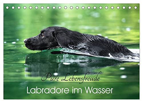 Labradore im Wasser (Tischkalender 2026 DIN A5 quer), CALVENDO Monatskalender: Labbis in ihrem Element! Die Begeisterung dieser Hunde fürs Wasser ist ... den Kalender zum Hingucker. (CALVENDO Tiere)