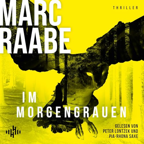 Im Morgengrauen (Art Mayer-Serie 4): 2 CDs | Art Mayers neuer Fall | Bestseller von Marc Raabe bringen Sie um den Schlaf!