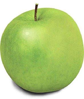 Keimfutter: 40 Seeds: Usa Erbstück Bio Granny Smith Apfelbaum 10-80 Samen