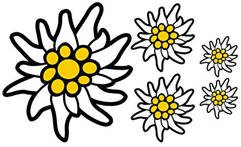 Aufkleber Set 5x Alpen Edelweiss Auto Camper Wohnmobil Motorrad Helm Sticker Waschanlagenfest Wetterfest