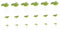 TOPBATHY 1 Juego Decoración De Plantas De Simuladas para Acuarios Planta Flotante De Plástico para Decoración Acuática con 72 Piezas