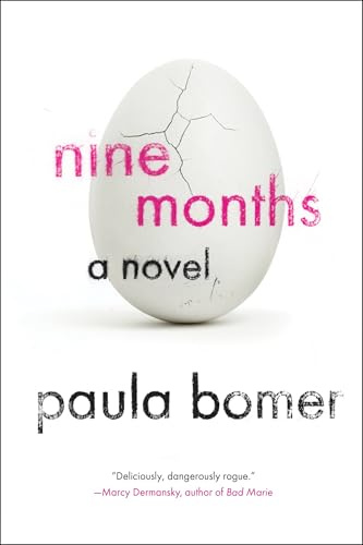 Nine Months: A Novel (Soho Paperback Original)