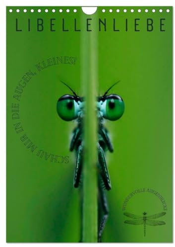 LibellenLiebe - Schau mir in die Augen, Kleines! (Wandkalender 2025 DIN A4 hoch), CALVENDO Monatskalender: Wundervolle Augenblicke mit Libellen - ... bezaubernden Insekten. (CALVENDO Tiere)