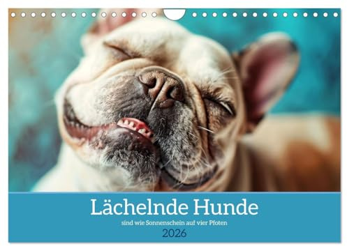 Lächelnde Hunde sind wie Sonnenschein auf vier Pfoten (Wandkalender 2026 DIN A4 quer), CALVENDO Monatskalender: Diesem Lächeln kann man nicht widerstehen! (CALVENDO Tiere)