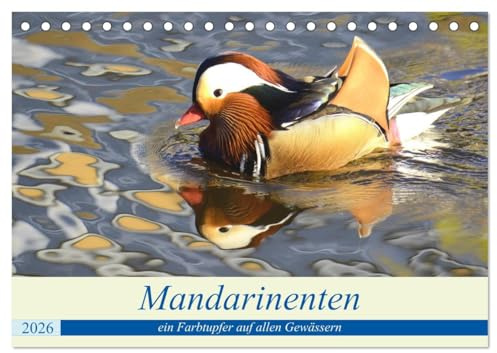 Mandarinenten, ein Farbtupfer auf allen Gewässern. (Tischkalender 2026 DIN A5 quer), CALVENDO Monatskalender: Das ist was ganz besonders auf unseren ... wieder schön anzusehen. (CALVENDO Tiere)