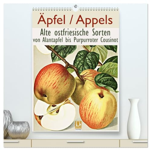 Äpfel/Appels. Alte ostfriesische Sorten (hochwertiger Premium Wandkalender 2026 DIN A2 hoch), Kunstdruck in Hochglanz: Von Alantapfel bis Purpurroter Cousinot (CALVENDO Natur)