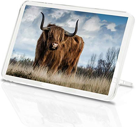Destination Vinyl Magnets Kühlschrankmagnet, Motiv Highland Cow - Hairy Cow Bull, klassisches Geschenk #13165
