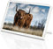 Destination Vinyl Magnets Kühlschrankmagnet, Motiv Highland Cow - Hairy Cow Bull, klassisches Geschenk #13165