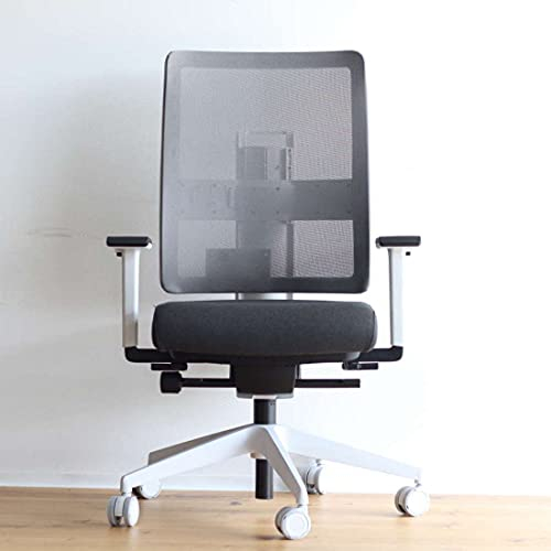 Viasit Toleo, ergonomischer Bürostuhl, 3D-Sitztechnik, individuell anpassbar (Toleo Netzrücken, Dunkelgrau)