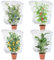 Evoio Fruit Tree Netting Bag, 4 Pcs Blueberry Bush Netting Plant Cover with Drawstring, 105 x 70cm Bird Netting Plant Netting Barrier Bags Cover Fruit Bush Nets for Blueberry Fruits Strawberry Netting