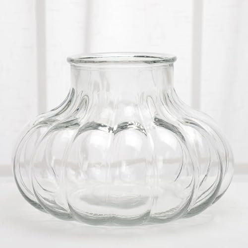 Grand vase plat en verre transparent pour arrangement floral hydroponique créatif