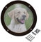 Dog Fence Peek Window - Clear Acrylic Dome, Pet Window Bubble | Outdoor Pet View Window Round Pet View Window, Round Acrylic Dog Yard Window Dome Cat Dome Window for Fences, Yards and Gardens