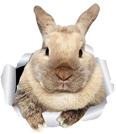 Ostern 3D Gebrochene Wanddekoration Cartoon Tier Kaninchen Tür Wohnzimmer Aufkleber Flaschen Bad (Grey, One Size)