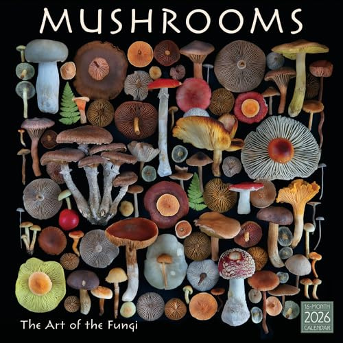 Mushrooms Wandkalender 2026, 16 Monate Botanischer & Naturfotografie-Kalender, The Art of The Fungi von Moritz Schmid, 30,5 x 30,5 cm, Organizer für Zuhause und Büro