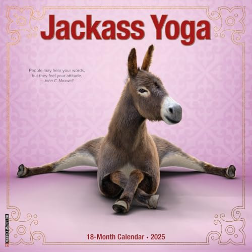 Jackass Yoga 2025 Wandkalender, 30,5 x 30,5 cm