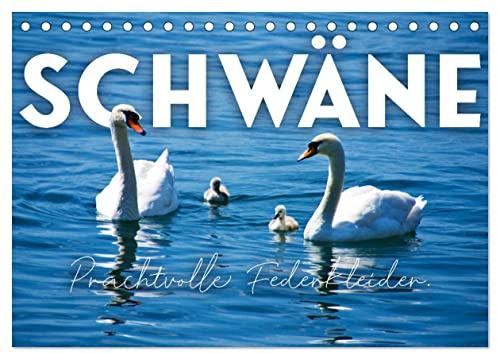 Schwäne - Prachtvolle Federkleider. (Tischkalender 2026 DIN A5 quer), CALVENDO Monatskalender: Symbol für Liebe und Reinheit. (CALVENDO Tiere)