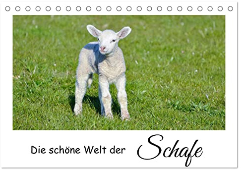 Die schöne Welt der Schafe (Tischkalender 2026 DIN A5 quer), CALVENDO Monatskalender: Schafe und Lämmer auf der Weide. (CALVENDO Tiere)