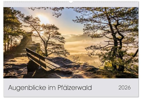 Augenblicke im Pfälzerwald (Wandkalender 2026 DIN A2 quer), CALVENDO Monatskalender: Wunderbare Augenblicke im Pfälzerwald, eingefangen zum Träumen. (CALVENDO Natur)