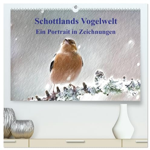 Schottlands Vogelwelt - Ein Porträt in Zeichnungen (hochwertiger Premium Wandkalender 2026 DIN A2 quer), Kunstdruck in Hochglanz: Dieser Kalender ist ... in farbigen Zeichnungen (CALVENDO Natur)