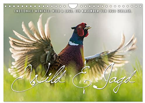 Emotionale Momente: Wild und Jagd. (Wandkalender 2026 DIN A4 quer), CALVENDO Monatskalender: Der Kalender für alle Jäger und Jagdfreunde. (CALVENDO Hobbys)