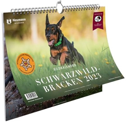 Schwarzwildbracken Bildkalender 2023