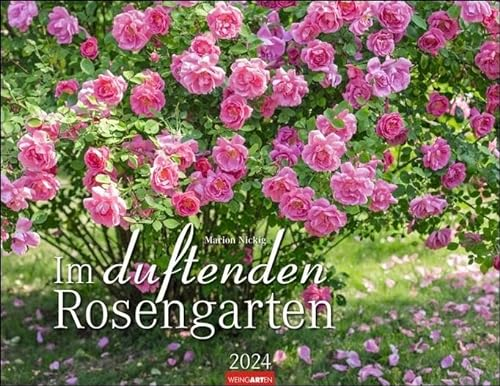 Im duftenden Rosengarten Kalender 2024. Wandkalender mit 12 Fotos romantischer Rosen-Gärten. Farbenprächtiger Kalender mit Rosen-Duft. Fotokalender für die Wand 44x34 cm
