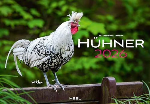 Hühner Kalender 2026: Der Tierkalender mit den charmanten Namen