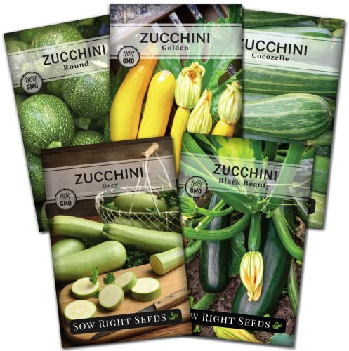 Sow Right Seeds - Zucchini Seed Collection for Planting Summer Squash