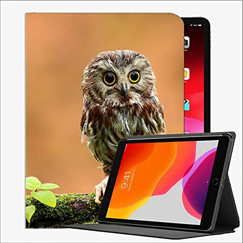 Caso per iPad (Modello da 9,7 pollici, 2018/2017, 6 ° / 5 ° generazione), Gufo Bird Piccolo Muschio di legno dell'erba # 14 Caso Custodia sottile per iPad 9.7 pollici