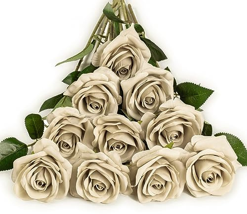 DuHouse 10Pcs Artificial Roses Fake Silk Flowers Realistic Bridal Bouquets with Single Long Plastic Stems for Arrangement Wedding Table Centerpiece Party Home Decor(Reed)