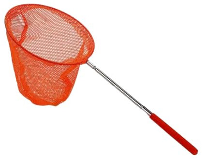 Rete da Pesca Retino Telescopico Rete per Farfalle Retino Estensibile per Farfalle Pescare Piscina Mare Spiaggia Lago Pesca Rete Allungabile per Catturare Insetti Retino Acquario Barca Adulti Bambini