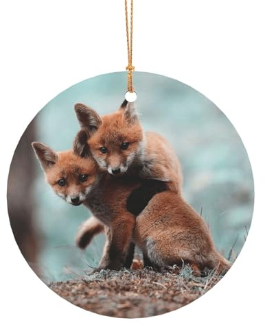 FEYUNYAN Runder Aluminium-Weihnachtsschmuck zum Aufhängen, Dekoration, Weihnachtsbaum-Anhänger für Baum, Kamin, Party, Urlaub, Zuhause, Festival, niedlicher Fuchs, festlicher Kreis-Anhänger mit Seil