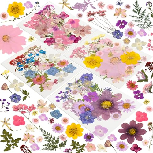 204 Pcs Dried Pressed Flowers for Resin Crafts, Real Natural Pressed Flowers and Leaves, Vacuum Sealed Dry Flowers for Epoxy Resin Jewelry Making, Candle & Soap Making, Nail Art (Purple pink)