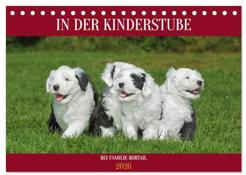 In der Kinderstube bei Familie Bobtail (Tischkalender 2026 DIN A5 quer), CALVENDO Monatskalender: Einblicke in die Bobtail-Kinderstube auf 12 bezaubernden Bildern (CALVENDO Tiere)