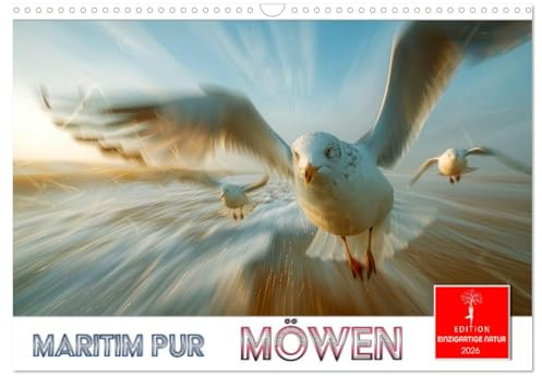 Maritim pur - Möwen (Wandkalender 2026 DIN A3 quer), CALVENDO Monatskalender: Unverkennbare Meeresvögel mit besonderem Charme. (CALVENDO Tiere)