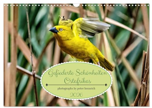 Gefiederte Schönheiten Ostafrikas (Wandkalender 2026 DIN A3 quer), CALVENDO Monatskalender: Dieser Kalender ist eine visuelle Hommage an die ... Bewohner Ostafrikas. (CALVENDO Tiere)