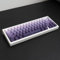 mintcaps PBT Doubleshot Keycaps 134 Keys Gradient Purple Backlit OEM Profile Keycaps Full Set Custom Keyboard Keycaps for 60% 65% 75% 100% Cherry Gateron MX Switches Mechanical Keyboard
