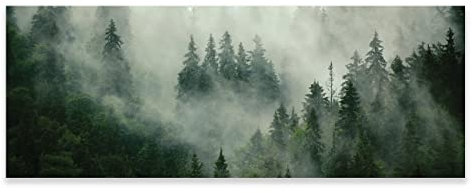 Poster Panorama Querformat 120x45 cm - Wald Nebel Grün Natur - OHNE RAHMEN XXL Wandposter Kunstdruck Fotoposter Wandbild Wandbilder Wand Bild auf Poster Wohnzimmer Schlafzimmer Küche