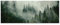Poster Panorama Querformat 120x45 cm - Wald Nebel Grün Natur - OHNE RAHMEN XXL Wandposter Kunstdruck Fotoposter Wandbild Wandbilder Wand Bild auf Poster Wohnzimmer Schlafzimmer Küche