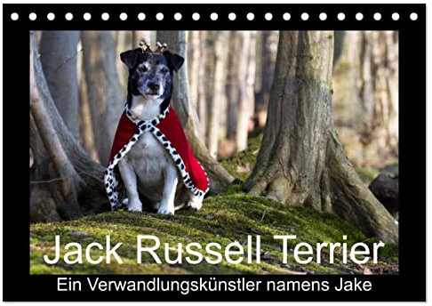 Jack Russell Terrier.....Ein Verwandlungskünstler namens Jake (Tischkalender 2025 DIN A5 quer), CALVENDO Monatskalender: Monatskalender mit einem Jack Russell (CALVENDO Tiere)