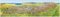Das grosse Alpenpanorama Sommer, Poster: Plano in Hülse (MAIRDUMONT Panoramen)