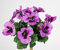 Stiefmütterchen 26cm lila PM Kunstpflanzen Kunstblumen künstliche Pflanzen Blumen Veilchen