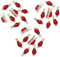 72x Mollette Legno Naturale con Coccinelle Mollettine 25 mm Decorazione 2,5 cm Biglietti Regali, Portafortuna per Bomboniere, DIY Chiusura Sacchetti Foto Biglietti Scrapbooking Matrimonio Feste