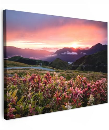 MuchoWow© Impression sur Toile Photo Peinture 70x50 cm Tableau Decoration Murale Chambre Salon Maison Deco Cuisine Fleurs - Montagne - Paysage - Nuit - Ciel - Rose