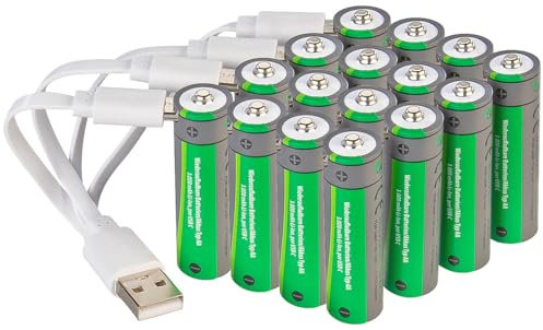 16 accumulateurs AA 2000 mAh avec port de chargement USB-C [tka Köbele Akkutechnik]